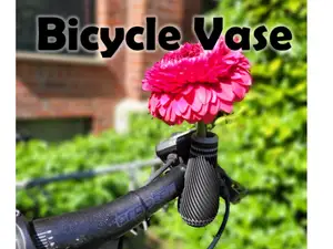 Bicycle Vase