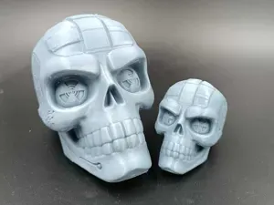 Cybernetic Skull