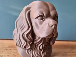 Cavalier King Charles Spaniel Bust