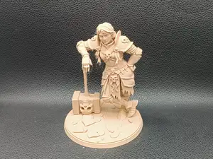 Dark Oath Paladin – Female Fallen Knight