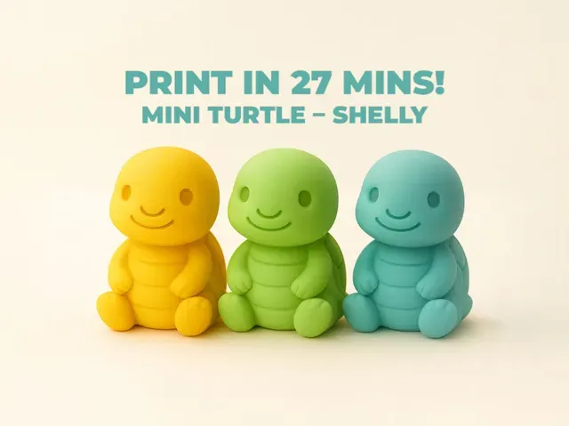 Mini Turtle – Shelly