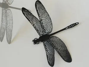 Dragonfly