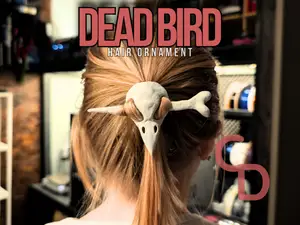 Dead Bird Hair Ornament - Gothic Bird Skull Pin