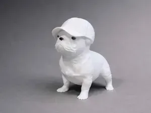 French Bulldog with cap - Animal