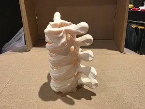 Spin Bone Hair Clip