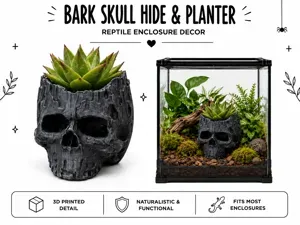 Bark Skull Hide & Planter – Woodland Terrarium