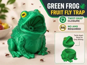 Frog Fruit Fly Trap
