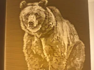 Bear Night Light