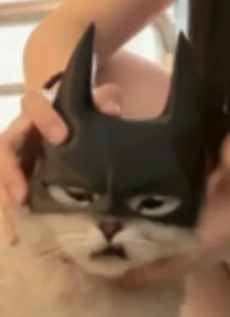 蝙蝠侠猫猫头盔 — Image 3 of 3