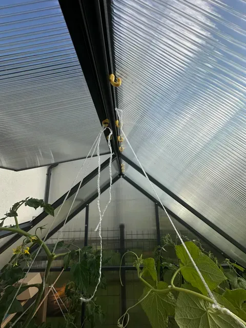 Greenhouse String Hook - Vine Support — Фото 3 из 3