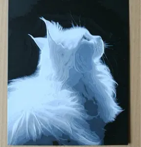 weisse Katze