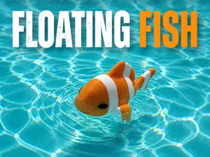 Floating Fish for the Pool