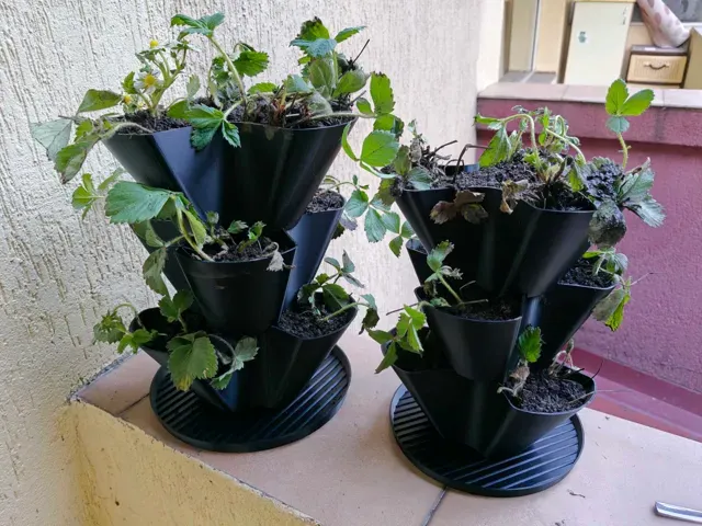 Strawberry Planter Pot Vertical Flower