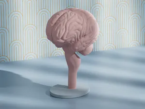 BRAIN