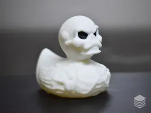 Skeleton Duck