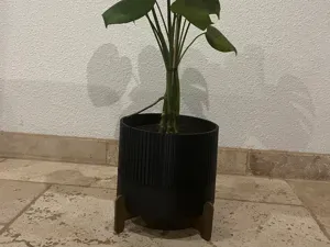 pot de fleur/vase