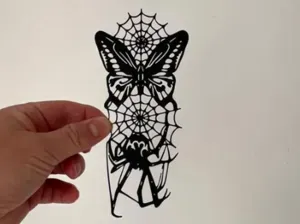 Spider web and Butterfly