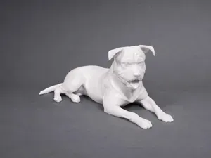 Lying American PitBull Terrier - Animal - Dog