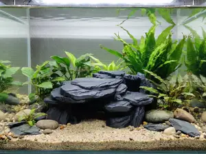 Natural Aquarium Terrarium Slate Rock Hideout