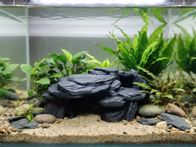 Natural Aquarium Terrarium Slate Rock Hideout