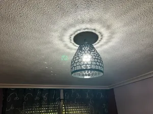 Voronoi Ceiling Lamp/Lámpara de Techo Voronoi E27