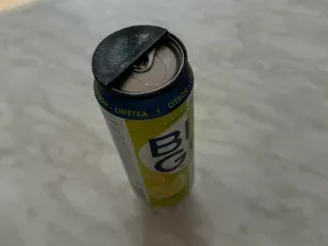 Rotating Can Lid/Dust & Insect Can Cover