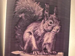 Squirrel Night Light