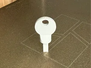 key for the electricity meter door