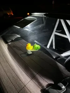 Dash Ducky E46 Adapter