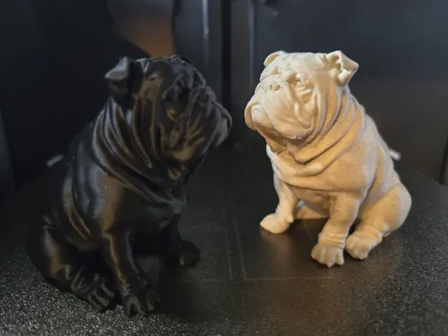 Cute English Bulldog - Sitting Pose - Only 20 gram