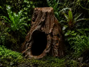 Forest Hollow Tree Shelter - Terrarium & Aquarium