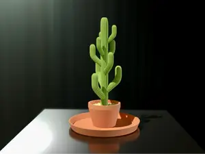 Cactus per gioielli