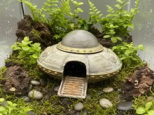 UFO Versteck