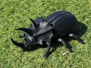 Triceratops Beetle - Realistic Detailed Insect