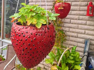 Strawberry Planter