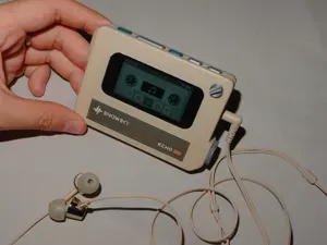 Snowsky echo mini case