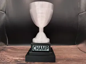 Award Trophy with custom name plate