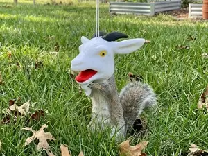 Screaming GOAT Squirrel Feeder