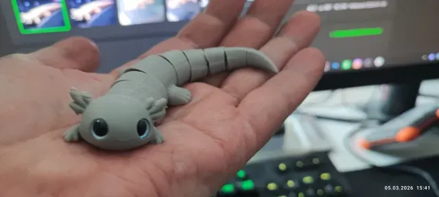 Baby Axolotl – Cute Articulated Toy — Фото 3 из 7