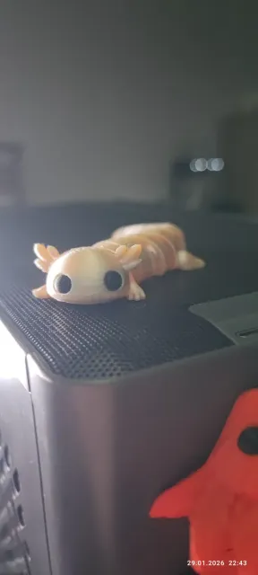 Baby Axolotl – Cute Articulated Toy — Фото 4 из 7