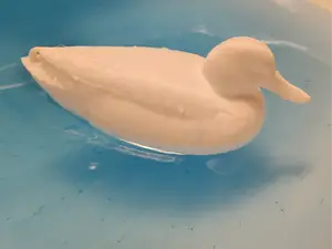 Floating Duck Decoy