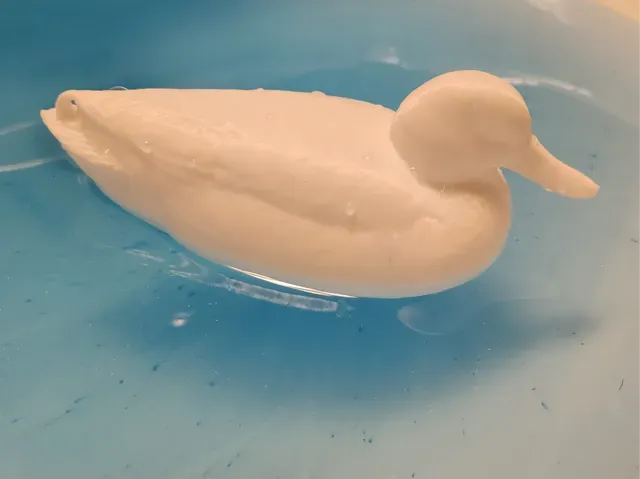 Floating Duck Decoy 