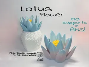 Lotus Flower