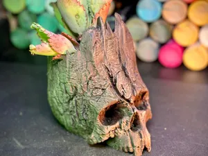The Skull of Life Planter