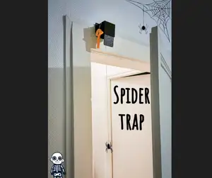 Spider trap for door