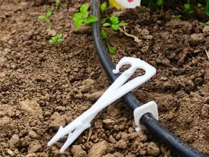Drip Irrigation Hose Anchor - 10mm Clip