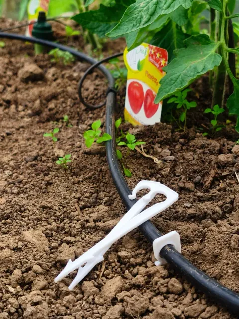 Drip Irrigation Hose Anchor - 10mm Clip — Фото 2 из 3