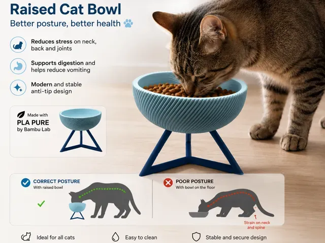 Raised Cat Bowl