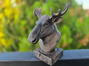 MOOSE BUST