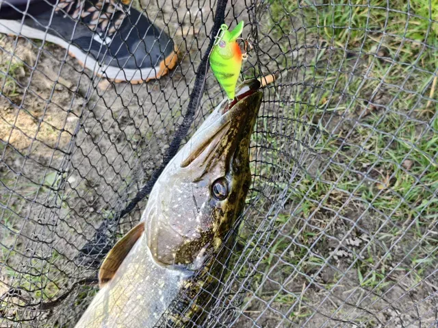 Print->Knot->Fish! Bigger Crankbait fishing lure — Фото 5 из 5